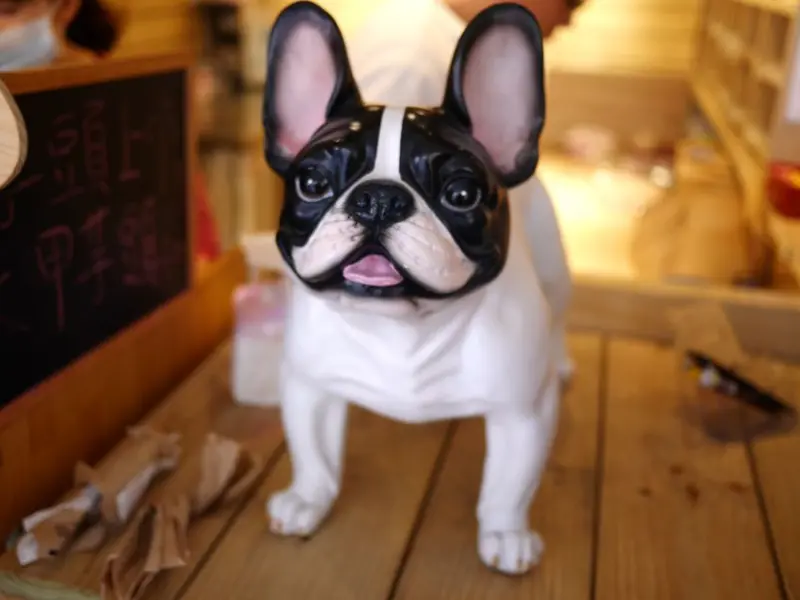 【新竹美食】犬首燒 新竹店。法鬥造型雞蛋糕，近新竹城隍廟創意甜點小吃。(芋頭麻糬．花生麻糬．抹茶麻糬．爆漿卡士達)