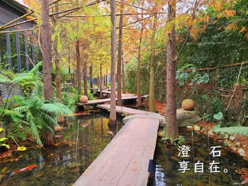 【台中景點/台中美食】享自在休閒生態園・澄石享自在/擁有落羽松美景及浪漫唯美水上木棧道的蔬食餐廳 (含完整菜單)