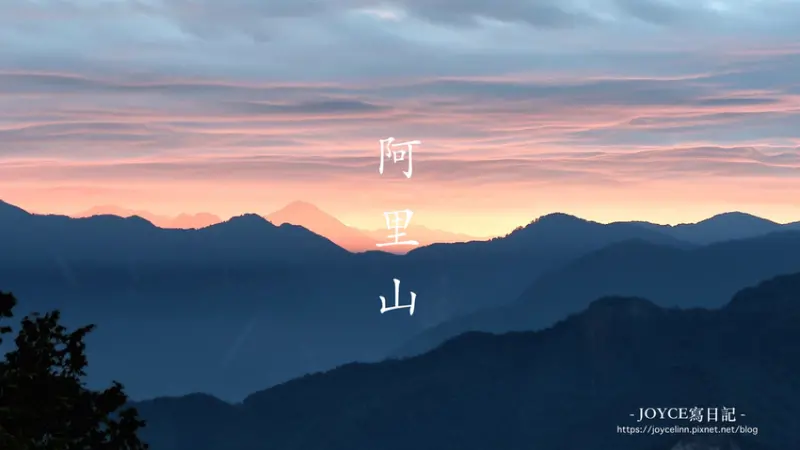 【旅。嘉義】阿里山小火車追日出、雲海行 ♫ 祝山火車站、祝山觀景台、小笠原觀景台、茶田35號 ♬