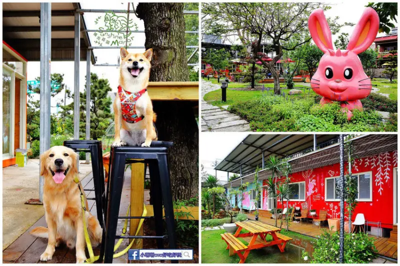 【食。大園】陽光莊園〜桃園親子寵物餐廳推薦。彩色貨櫃屋×庭園風×大草皮×沙坑，大人小孩和毛孩都能開心的好地方！
