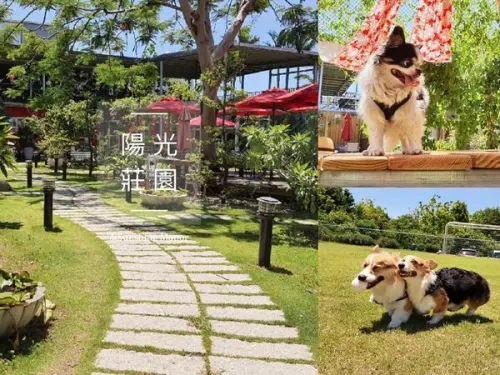 【桃園大園▸親子寵物餐廳 陽光莊園】毛孩放風好去處！遼闊空間自在跑跳