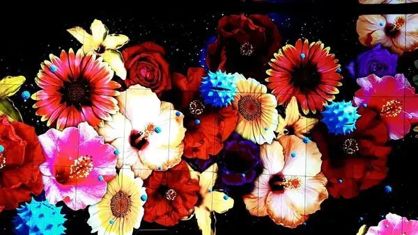 【台中】后里花博森林園區★友達微美館★用556吋顯示器拼接牆★展現出大自然的奧妙美麗之處★讓人嘆為觀止