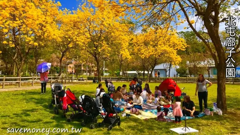 北屯廍子公園│黃金風鈴木盛開,賞花還能溜小孩 - 達人Emily的播報台