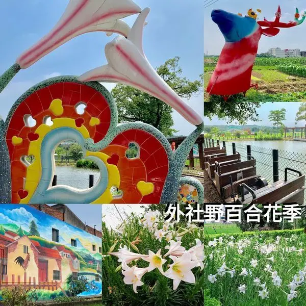 【2019大古山野百合花季】滿山遍谷野百合花海/桃園新景點外社輕便車站/最新花況分享(2019/4/24)