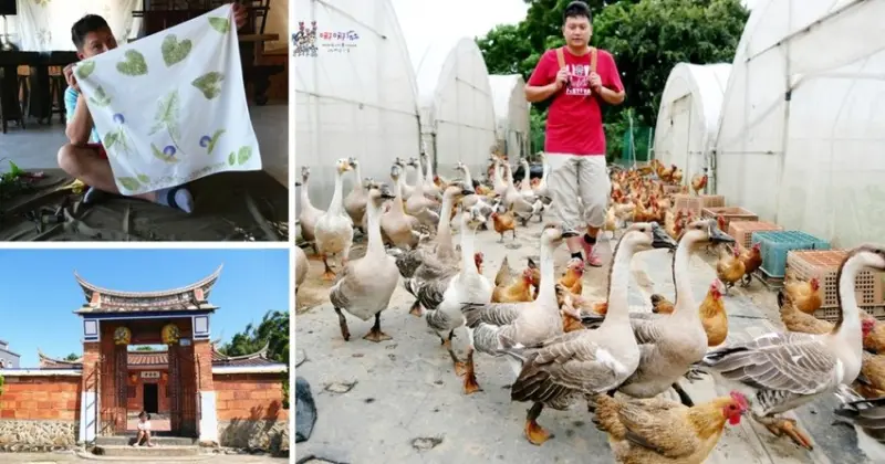 【桃園捷運A10站一日小旅行】不是只有看夜景，大古山休閒農業區讓你玩一天也不會累！ | 哪哪麻
