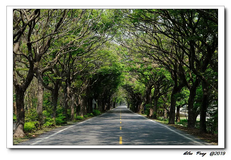 彰化縣-二林鎮-李振輝食品行