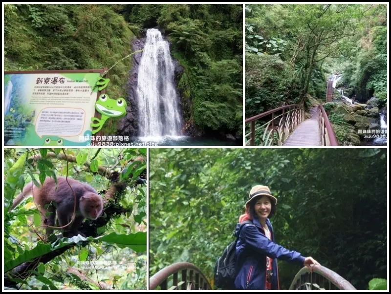 宜蘭。塵封已久的新寮瀑布步道。冬山森林生態館