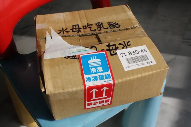 品嘗水母吃乳酪低卡無負擔的原味蛋糕