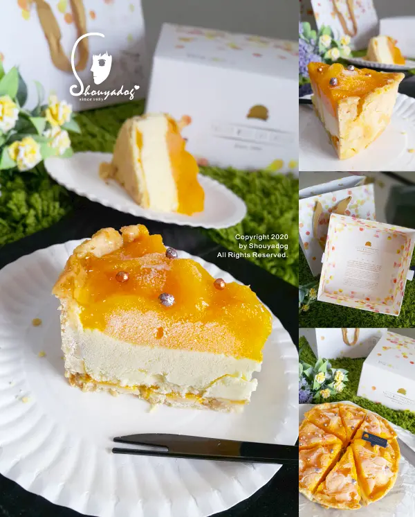 【蛋糕甜點】夏日必備下午茶點 水母吃乳酪 6吋芒果乳酪塔 台中伴手禮推薦