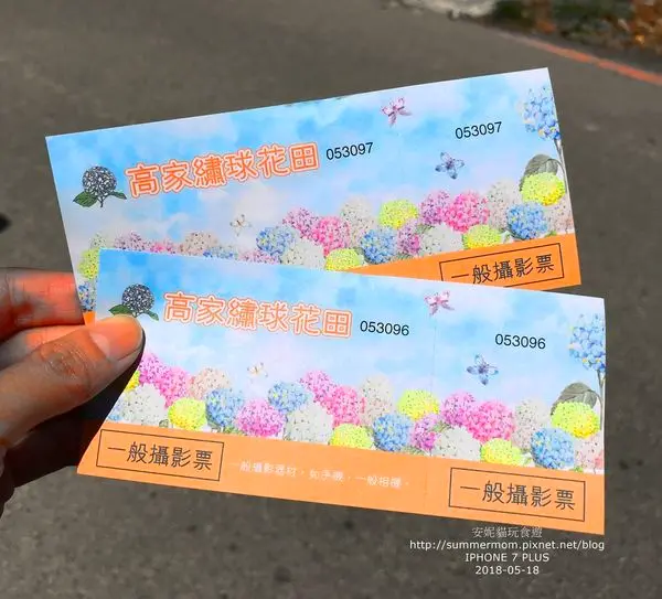 【台北市。陽明山】IG打卡勝地，教我怎麼拍比較美啦~~．高家繡球花田