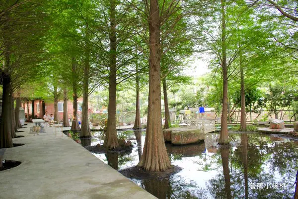 【苗栗。公館客家美食推薦】和風民宿＆和風食堂。不只是民宿，來到這裡也可以品嚐道地的客家美食，飯後漫步在食堂後的落羽松秘境，那寧靜幽美的氣氛，療癒了身心靈！