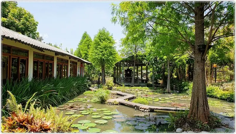 台中南屯景觀餐廳║田寮農莊，都市裡的世外桃源，唯美落羽松秘境美景+古早味農家菜，好愜意!!