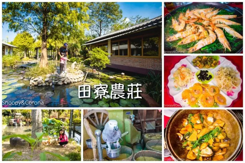 【台中美食】南屯景觀餐廳｜田寮農莊｜ 台中古早味｜ 中式桌菜～詩情畫意落羽松荷花池庭園造景，南屯隱藏版神秘餐廳