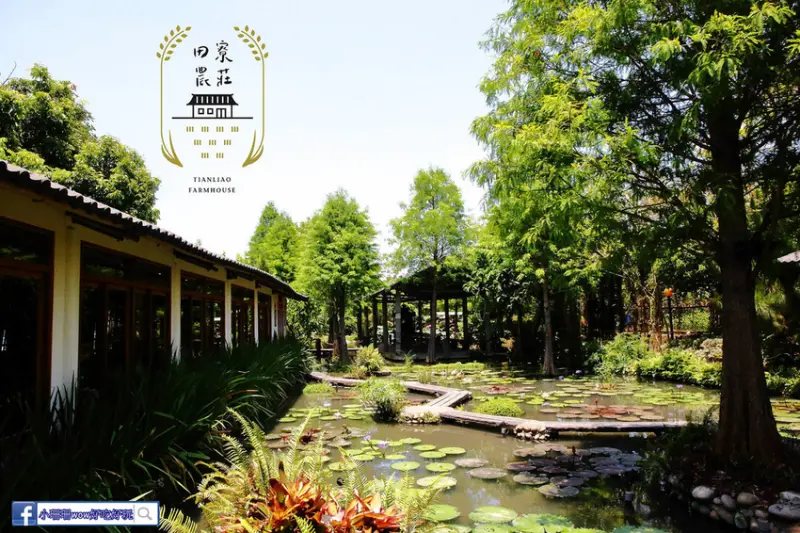【食。台中】田寮農莊〜台中南屯景觀餐廳。隱藏在稻田間的古早味農家菜，唯美落羽松享受都市裡的悠閒