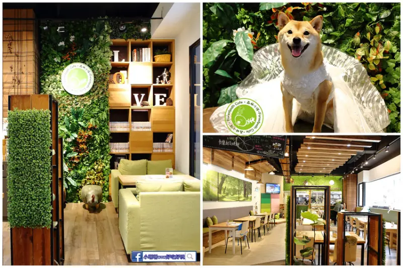 【食。台中】森林小徑-大墩店〜IG瘋打卡！當個森林系女孩！療癒喵店長坐檯陪你吃，味蕾與視覺的享受！