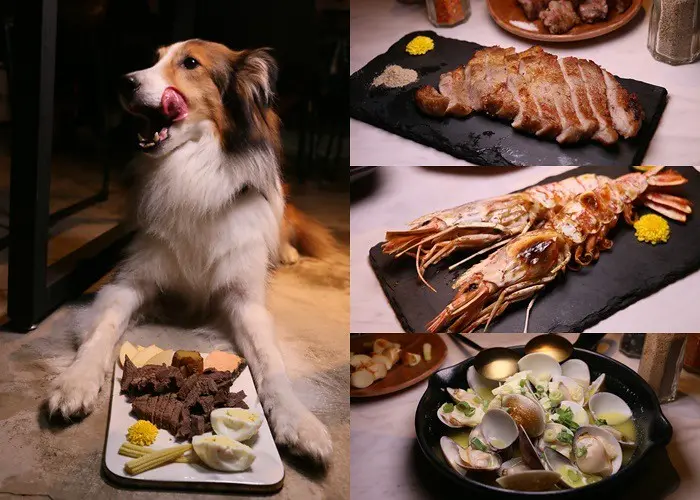 內湖美食『金烤盃』金鍋盃相關企業，台北海鮮牛肉燒烤餐廳，寵物友善餐廳，免費豪華寵物餐，可愛店狗小愛+QQ，菜單價位(捷運港墘站)