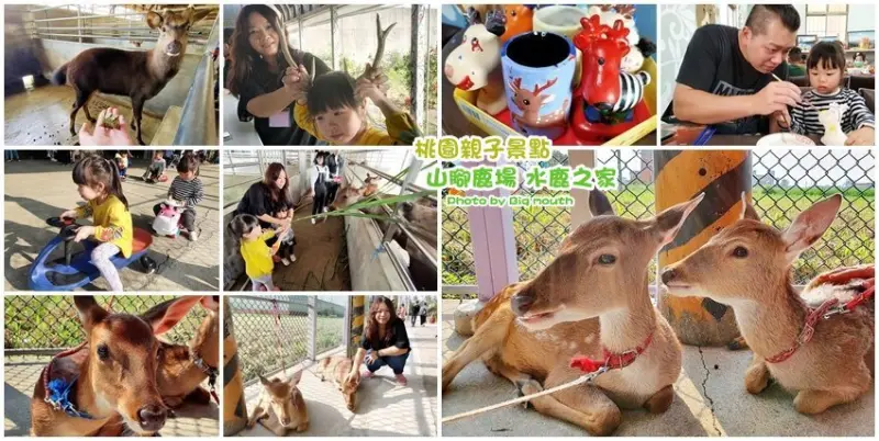 【桃園親子景點】山腳鹿場 水鹿之家．餵鹿吃草、喝奶、跟鹿賽跑等活動!