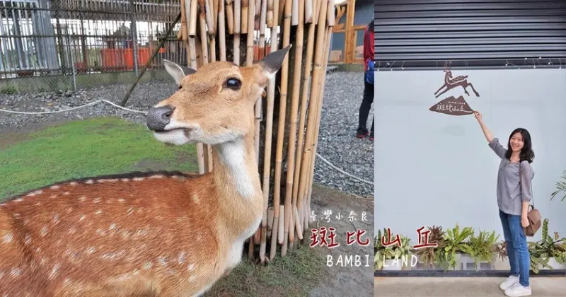 旅遊。宜蘭★斑比山丘 與二十幾隻小鹿親密互動 餵食 撫摸都可以！ · 妮妮˙ˇ˙用類單記錄生活!!