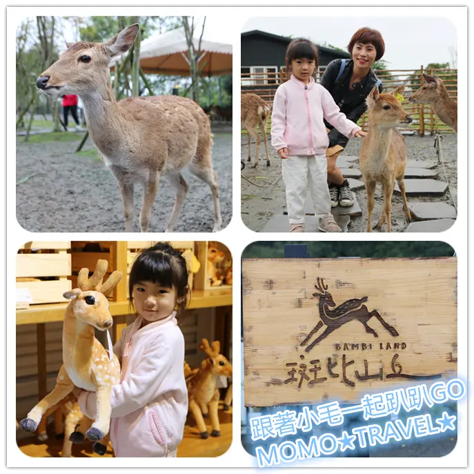 宜蘭旅遊-斑比山丘 旅遊冬山河現在還有可愛梅花鹿陪伴!! 拍照丨打卡熱門景點