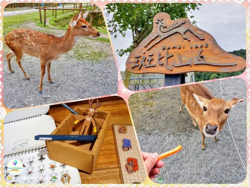 [遊]宜蘭 免出國 與鹿鹿近距離餵食互動 可愛鹿群療育你我的心 斑比山丘