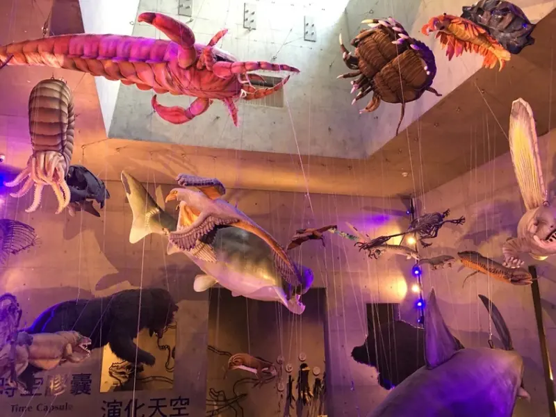 [遊] 台南左鎮/一起回到過去吧，了解遠古時代的台灣樣貌-臺南左鎮化石園區(文附九折購票教學)