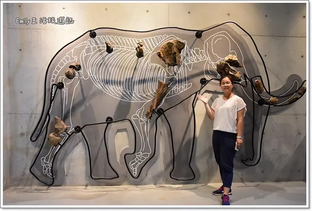 台南景點》臺南左鎮化石園區。來上了一堂生物課，內容很精彩 