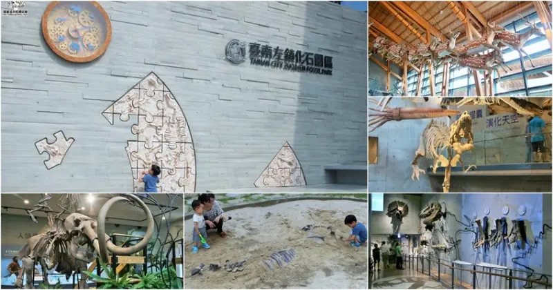 台南熱門打卡親子旅遊推薦｜全國最大化石主題、巨大恐龍生物、清水模建築超好拍、網美必拍景點 X 臺南左鎮化石園區 - 跟著尼力吃喝玩樂＆親子生活