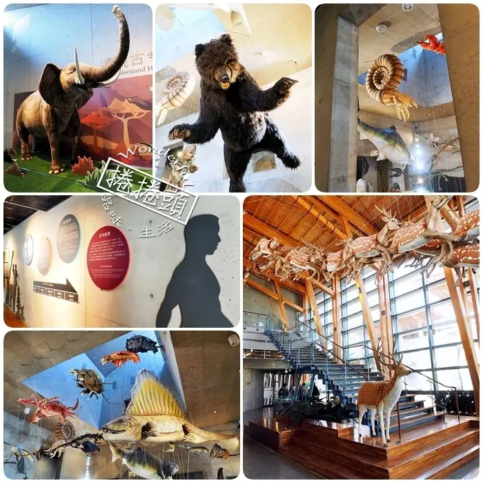 ▋台南景點 ▋左鎮化石園區（附交通／票價資訊）五館大搜密，能與小朋友互動的考古挖掘體驗池和AR實境。寓教於樂的親子景點！