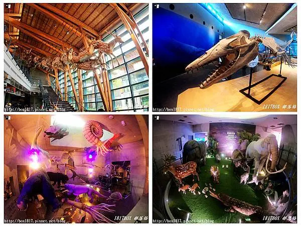 【台南。左鎮】臺南左鎮化石園區。全臺唯一的化石主題園區