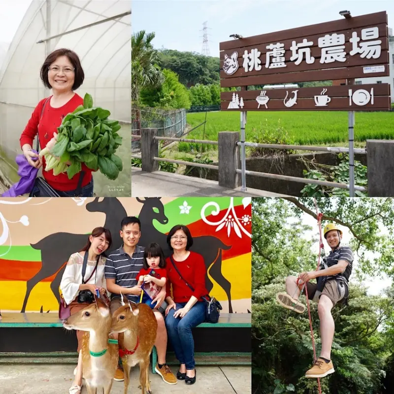 桃盧坑休閒農業園區