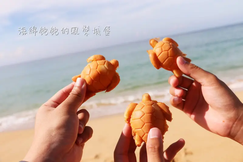 澎湖龜鮮奶雞蛋糕｜澎湖馬公下午茶點心，IG網美熱門打卡海龜燒，菜單價位