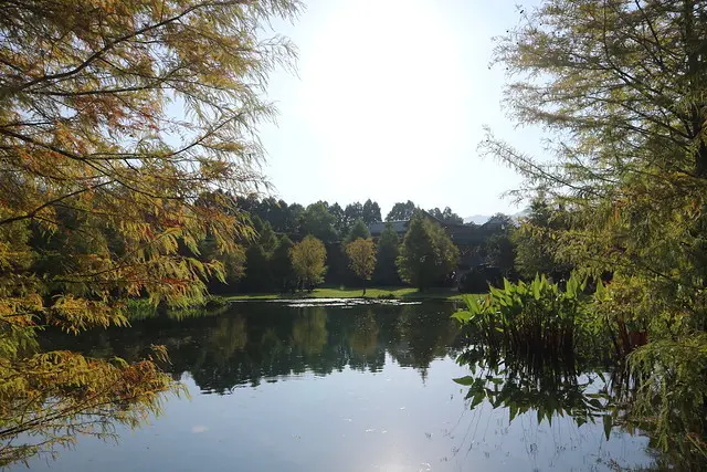 。苗栗食記。南庄雲水度假森林Cloudland Resort。落羽松祕境、馬卡龍民宿、溫泉泡湯度假去