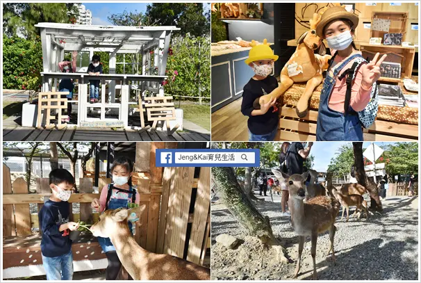 屏東 | 恆春 - 鹿境梅花鹿生態園區~墾丁小奈良.療癒小鹿斑比.近距離體驗餵小鹿
