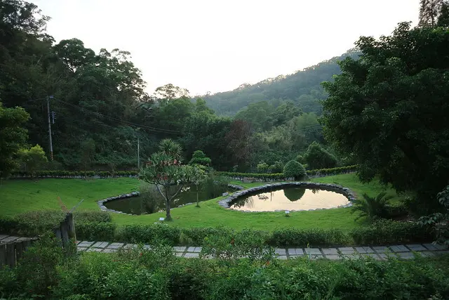 。新竹食記。照咖雅品。新埔的美麗造咖---九芎湖陳家農場