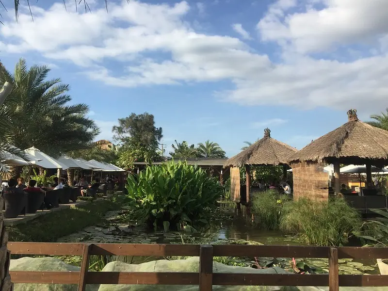 。桃園食記。我來到小峇里島‧莫內咖啡‧