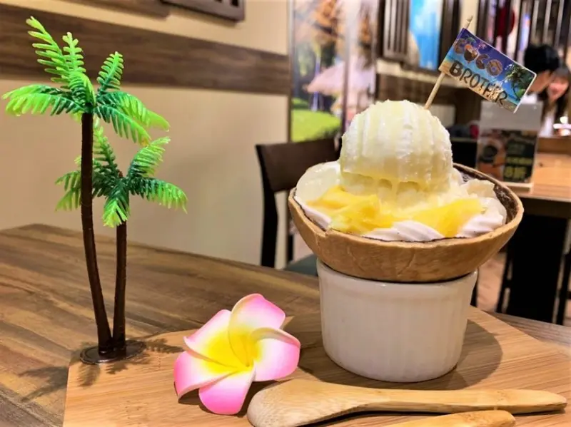 老椰兄 coco brother｜網紅必點椰子冰淇淋泰式水果姐姐和招牌打拋豬冰花煎餃！手工純正涮嘴椰奶香！還吃得到特別的熱帶水果料！來自泰國的好味道！知名網紅餐廳新分店！台北泰式料理餐廳推薦