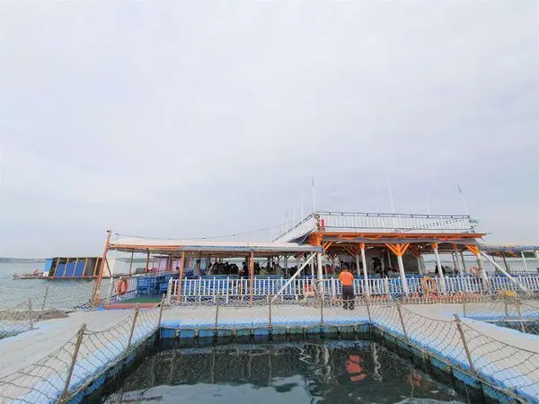 [澎湖景點]白天澎湖海洋觀光牧場.晚上澎湖花火節~Tina愛分享