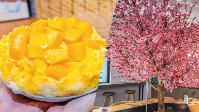 冰屋明倫店｜最美冰店 盛夏誘人芒果季