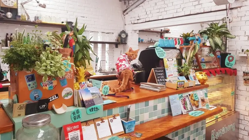 【宜蘭.頭城】寵物友善咖啡廳。kakahong甜點+咖啡+手做品超悠閒氛圍