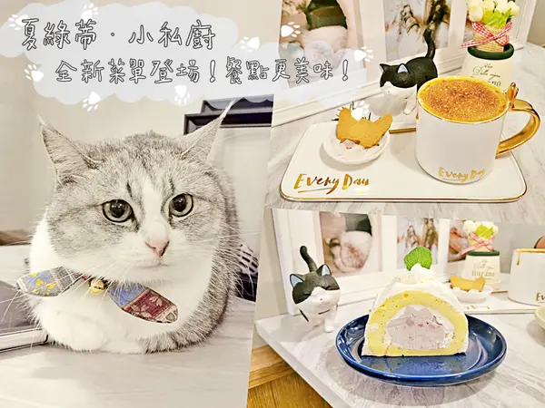 【美食】台北松山「夏綠蒂·小私廚」中山國中站貓咪餐廳，義大利麵燉飯都美味!