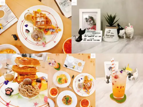 【台北松山】夏綠地咖啡 | 超美平價貓咪咖啡廳！網美文青拍照打卡下午茶店推薦