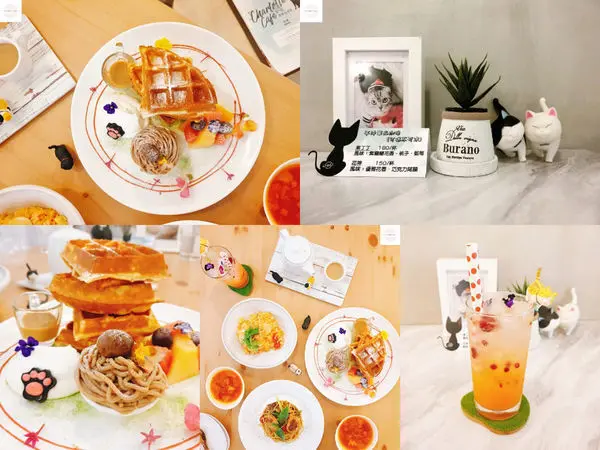 【台北松山】夏綠地咖啡 | 超美平價貓咪咖啡廳！網美文青拍照打卡下午茶店推薦