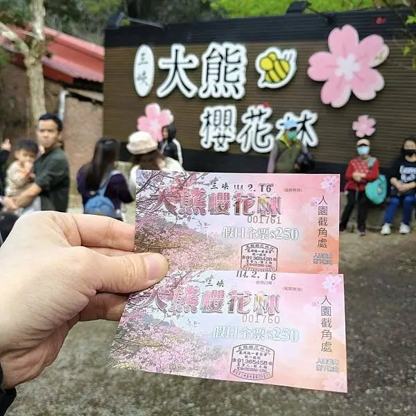 新北三峽孫東寶牛排館北大店~大熊櫻花林賞花不必跑遠~