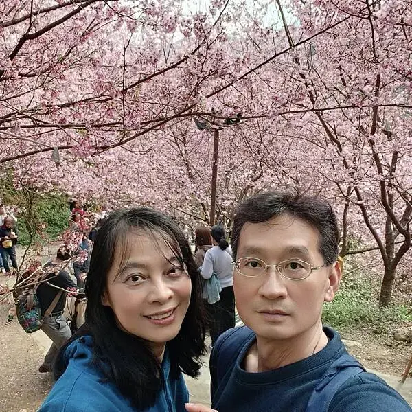 新北三峽孫東寶牛排館北大店~大熊櫻花林賞花不必跑遠~