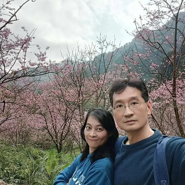 新北三峽孫東寶牛排館北大店~大熊櫻花林賞花不必跑遠~