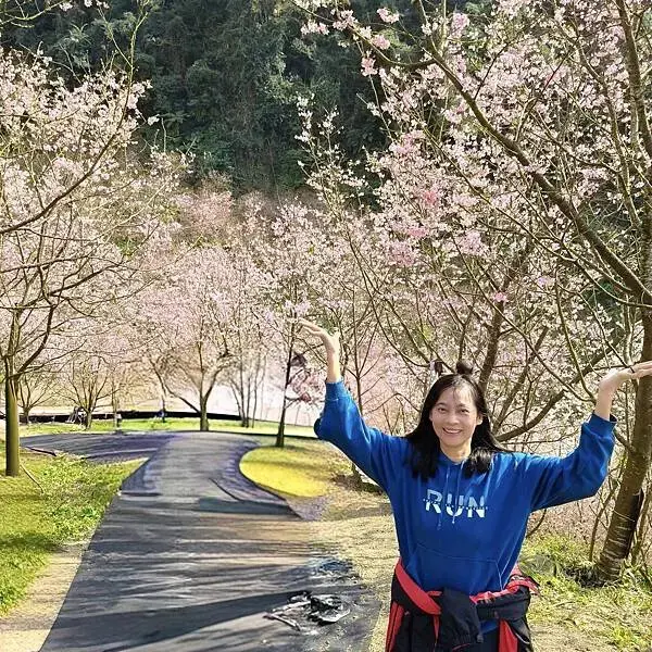 新北三峽孫東寶牛排館北大店~大熊櫻花林賞花不必跑遠~