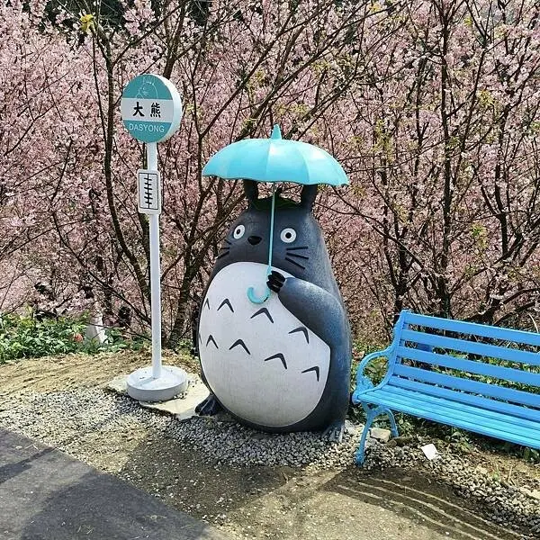 新北三峽孫東寶牛排館北大店~大熊櫻花林賞花不必跑遠~