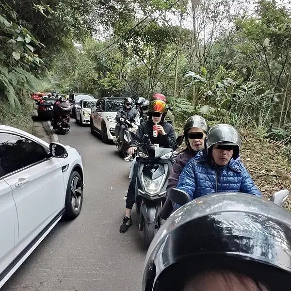 新北三峽孫東寶牛排館北大店~大熊櫻花林賞花不必跑遠~