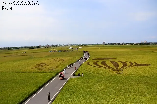 2020宜蘭超美文心蘭花隧道，金雙甡花卉農場&2019超美文心蘭花隧道，金雙甡花卉農場&2019宜蘭窯烤山寨村&2019三奇稻間美徑～