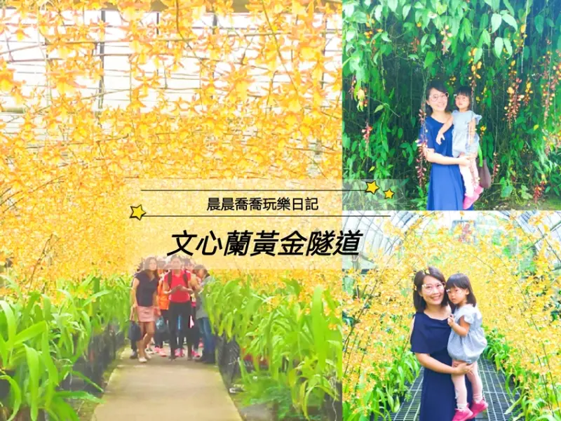 宜蘭景點【文心蘭黃金隧道】期間限定金黃隧道，還有隱藏版花牆好好拍，必吃鮮果汁冰棒，雨天也能賞花拍美照！